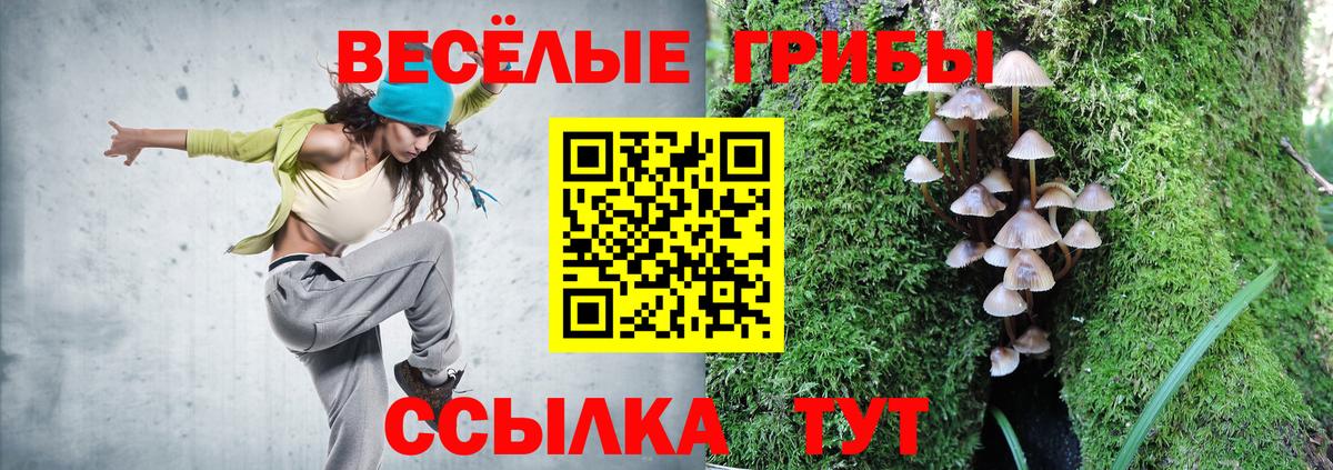 Галлюциногенные грибы GOLDEN TEACHER  Вход с VPN  Пыть-Ях  Псилоцибиновые грибы Magic Shrooms 